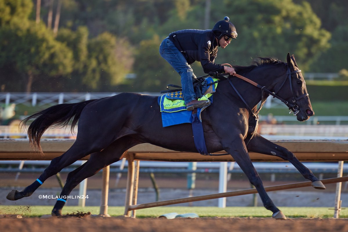 solid half in 48 this morning for Adare Manor under jockey Erick Garcia for The Bob Baffert team @santaanitapark @BobBaffert @Ersick05