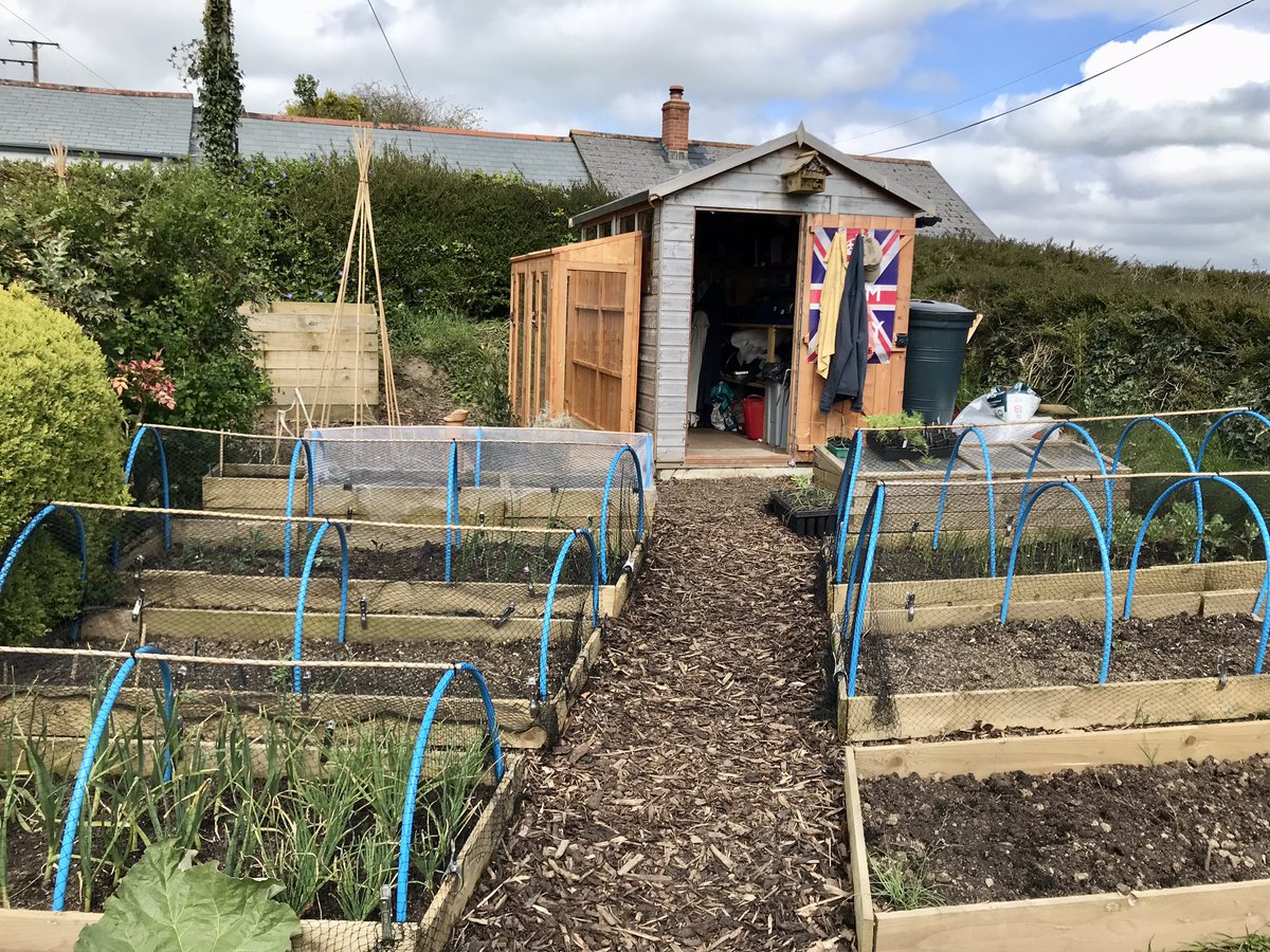keithtesterliv1's tweet image. A windy but dry day here at The Devon Patch, so the glass and catches went in to finish the lean-to, now waiting for the racks to turn up then populate it with lots of seedlings and plants!
#Devonpatch #leanto #greenhouse #vegpatch #vegetablegarden