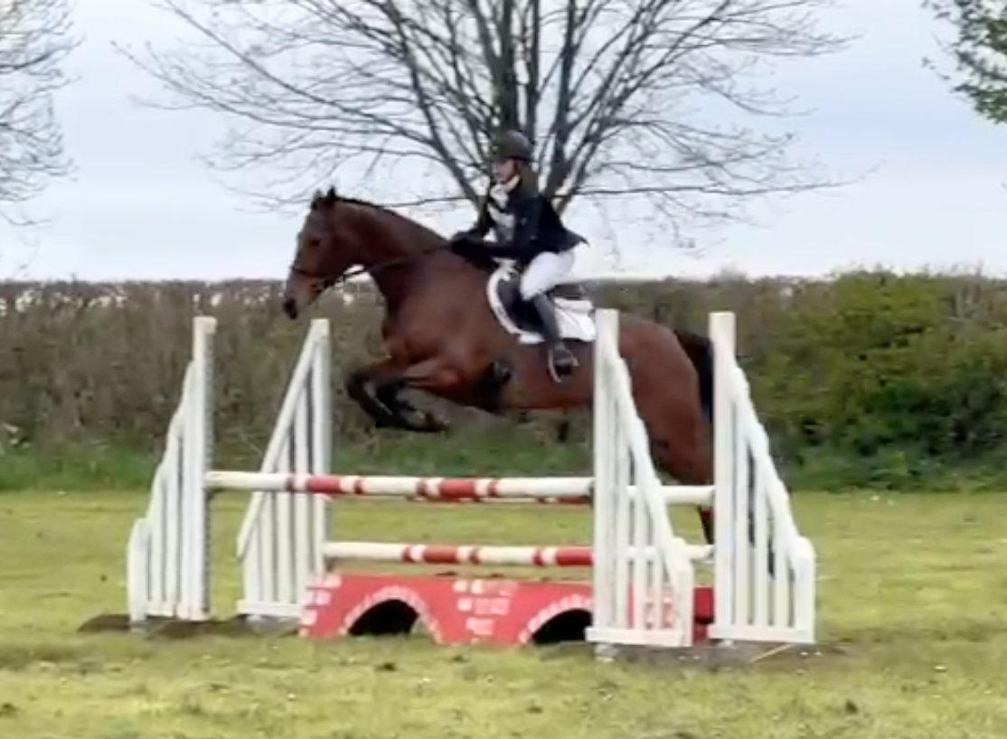 So very cold at <a href="/SwalcliffeParkE/">SP Equestrian</a> today but another solid run in the 100 for Edith 🥰