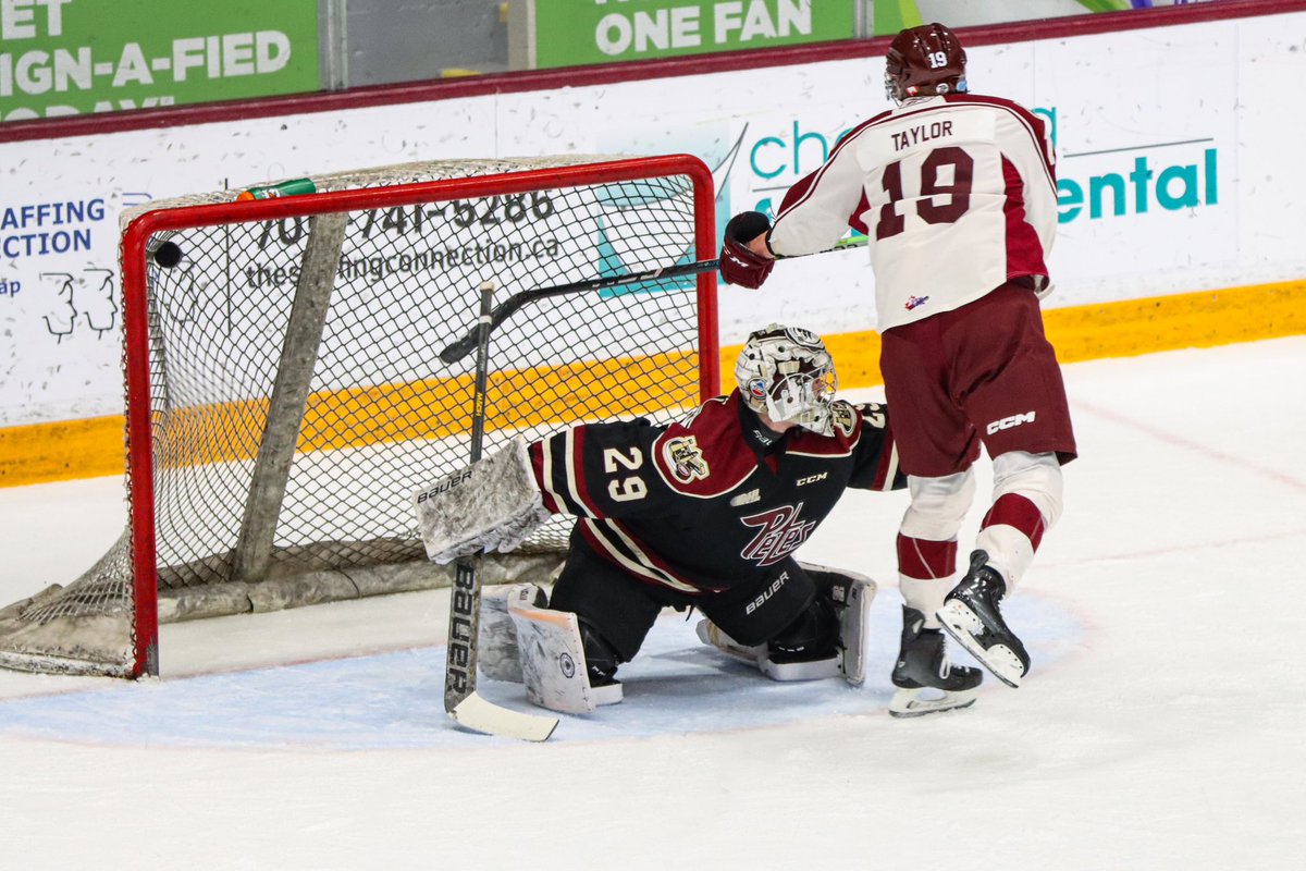 PetesOHLhockey tweet picture