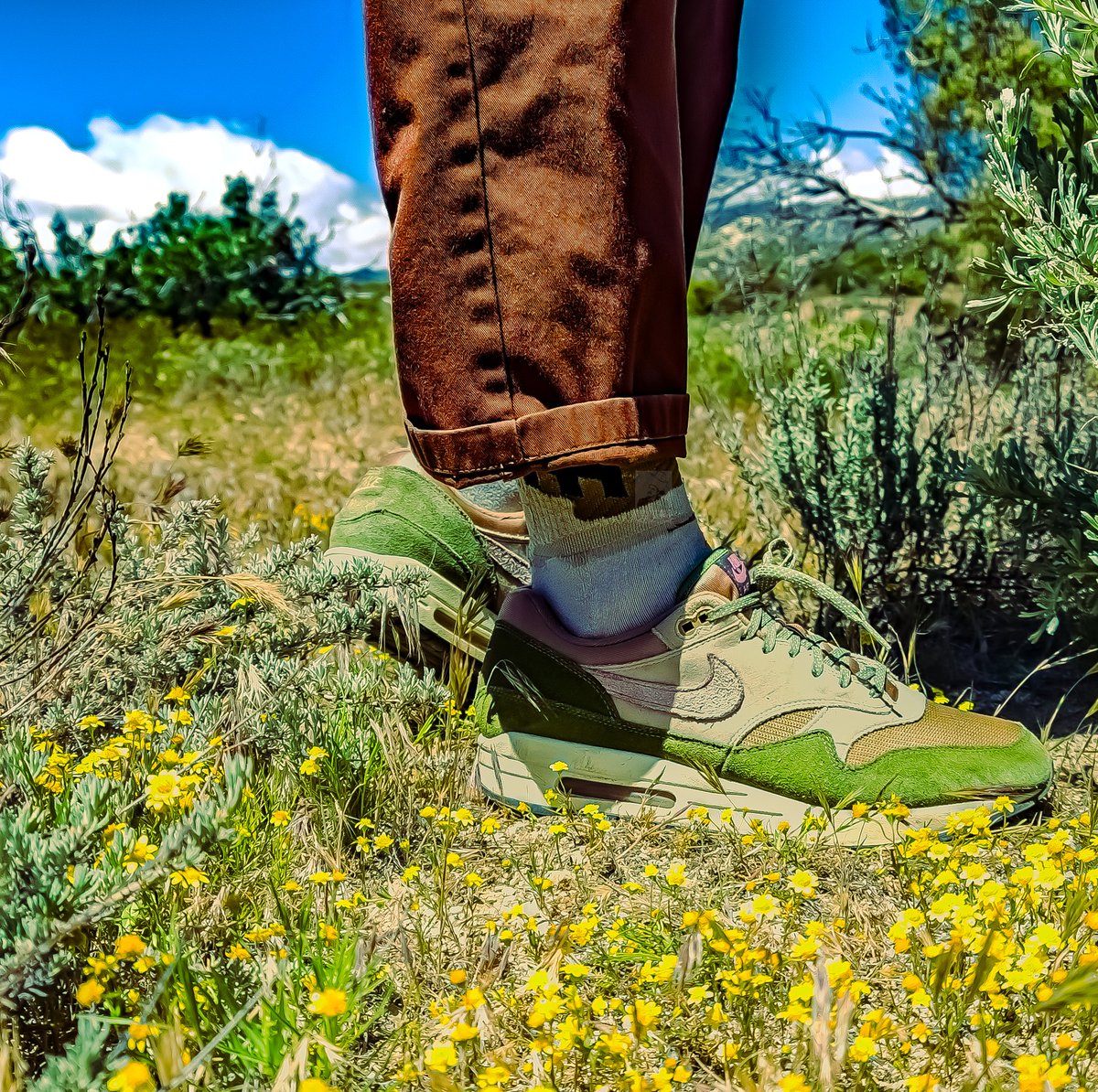 Above the treeline #kotd #yoursneakersaredope #atmoscollectorsclub #snkrsliveheatingup #SneakerWarriors