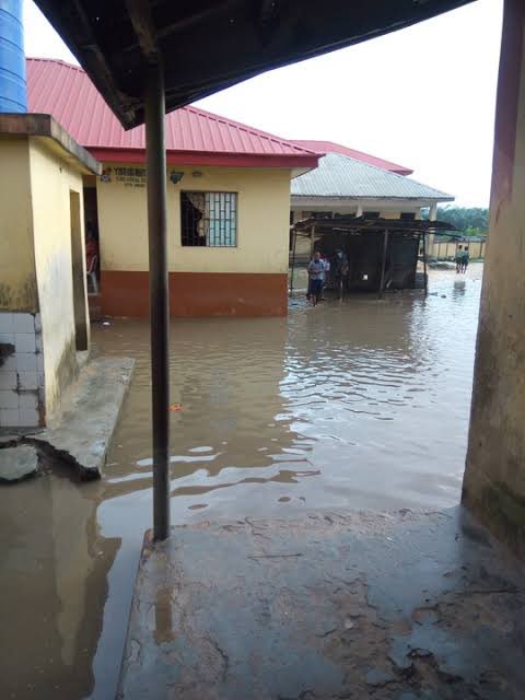Leedani7's tweet photo. @chiditweets042 You need to see the toilets at the back of Anglican Primary School….; teachers keep doors locked for themselves and give students no choice but to swim in two opened ones and the toilets back…. 💩 everywhere 😷 https://t.co/JWVt50v8IC