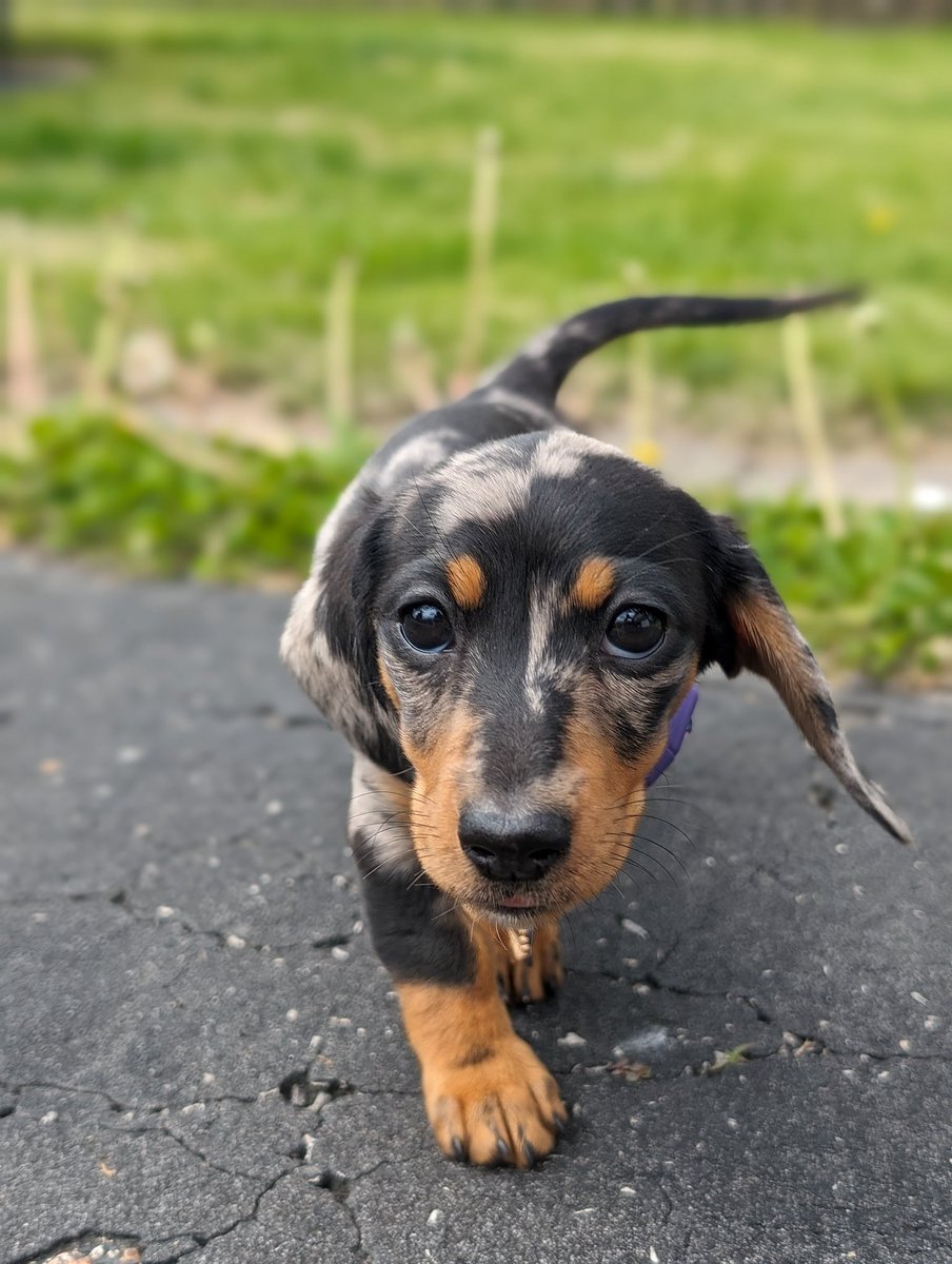 Page Turner Literary Agency tweet media