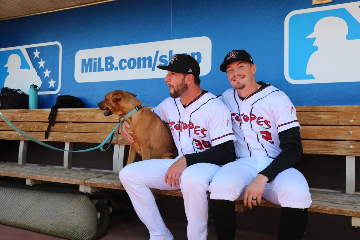 Find someone who looks at you the way the Topes look at dogs. 🥹 Also, bring your dog to the ballpark tomorrow for Bark in the Park tomorrow. Learn more at milb.com/albuquerque/fa…