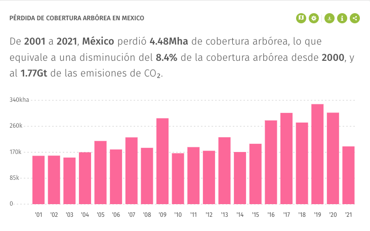 @M_OlgaSCordero @Claudiashein Sheinbaum NO es ambientalista, nunca dijo nada de la devastación de la selva maya y de los millones de árboles que se talaron. Ni siquiera ha visitado el tramo 5
Y por cierto, este sexenio tiene el índice más alto de pérdida de cobertura arbórea.

Datos de global forest watch
👇