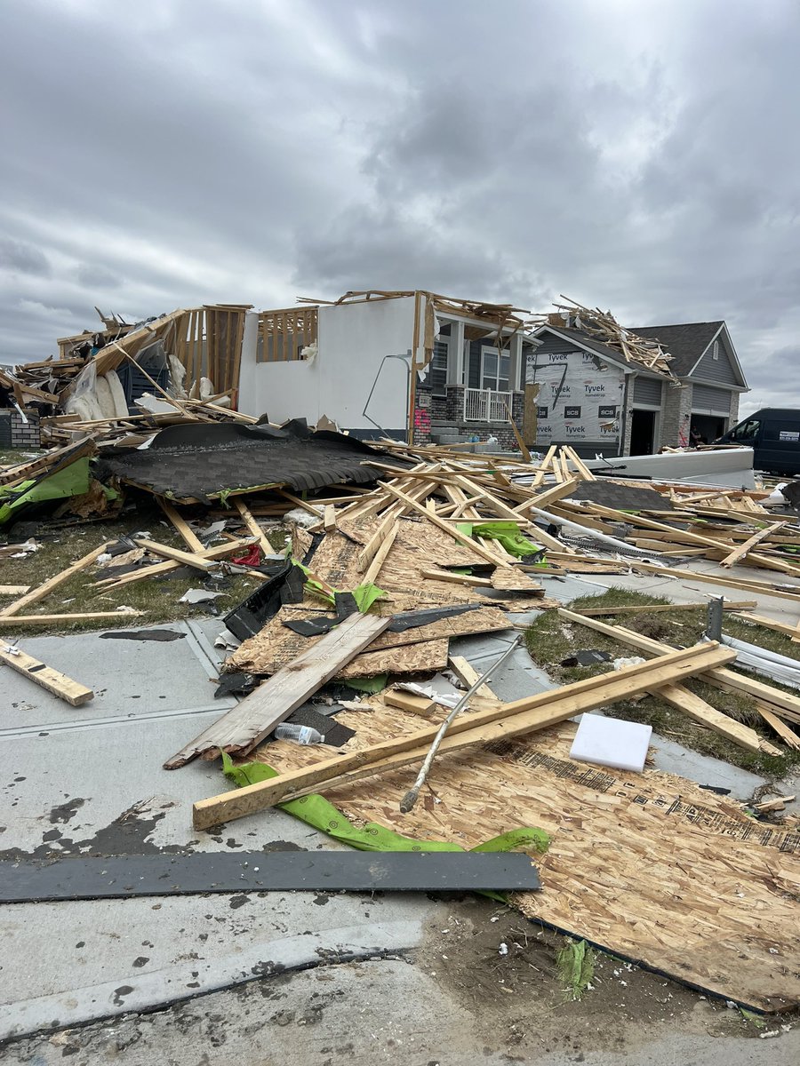 annie elming tweet media