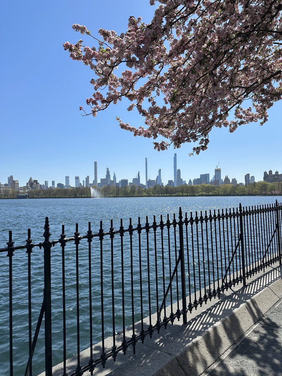 The serene Central Park Reservoir.