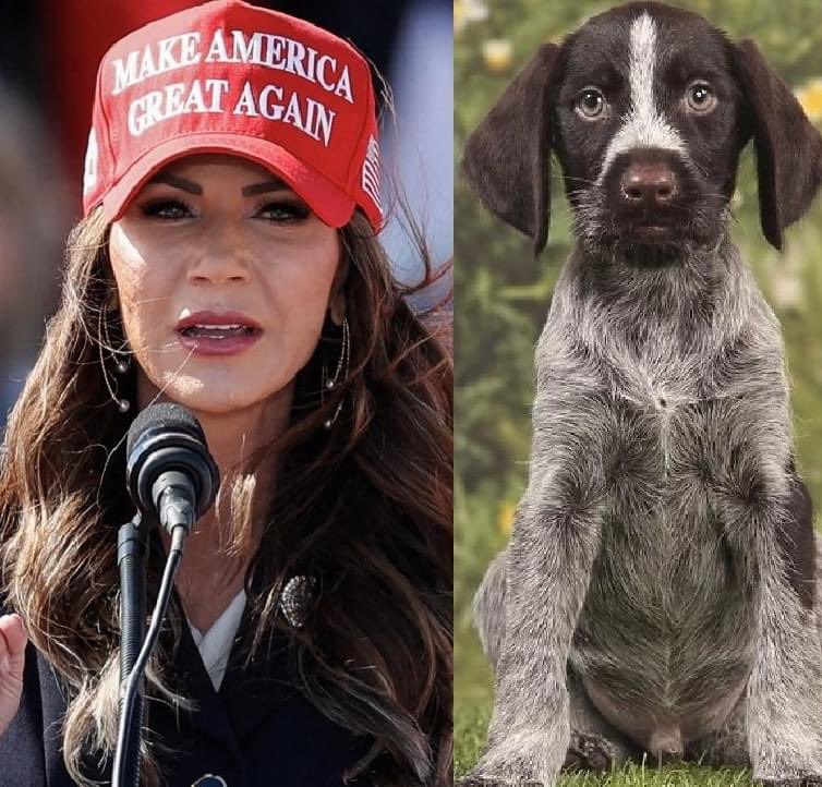 TerryAnn1219's tweet photo. Norm and her dog Cricket she killed. #RepublicanHate https://t.co/nRB8rpmgh1