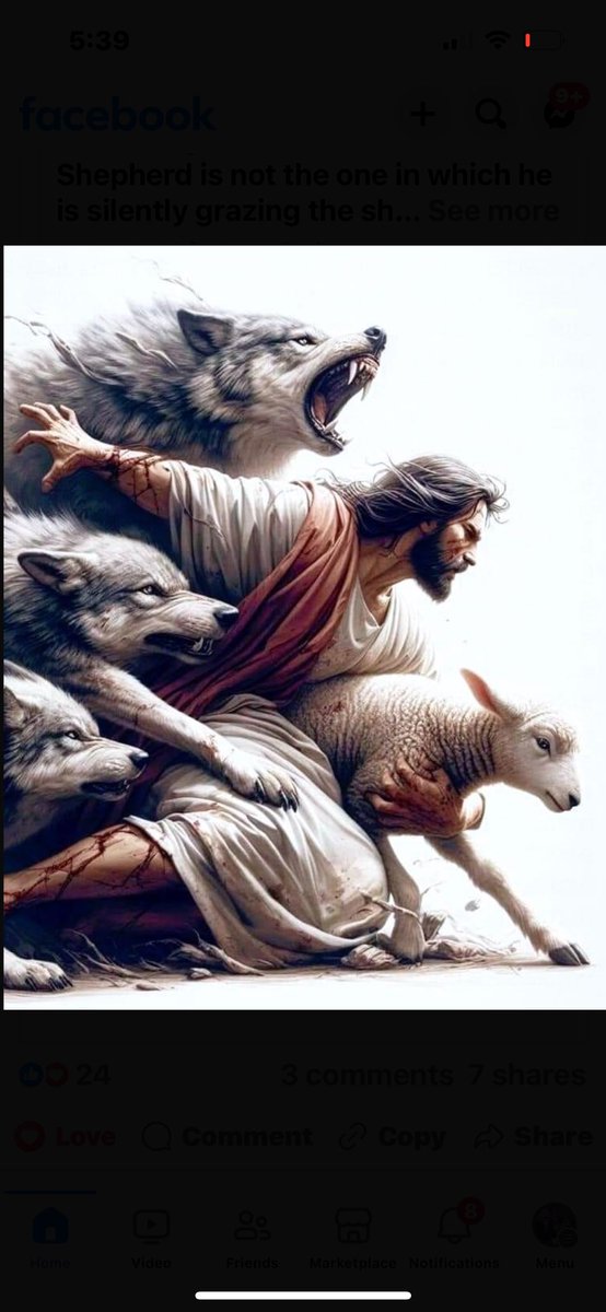 Thank you Good Shepherd for protecting me in battle