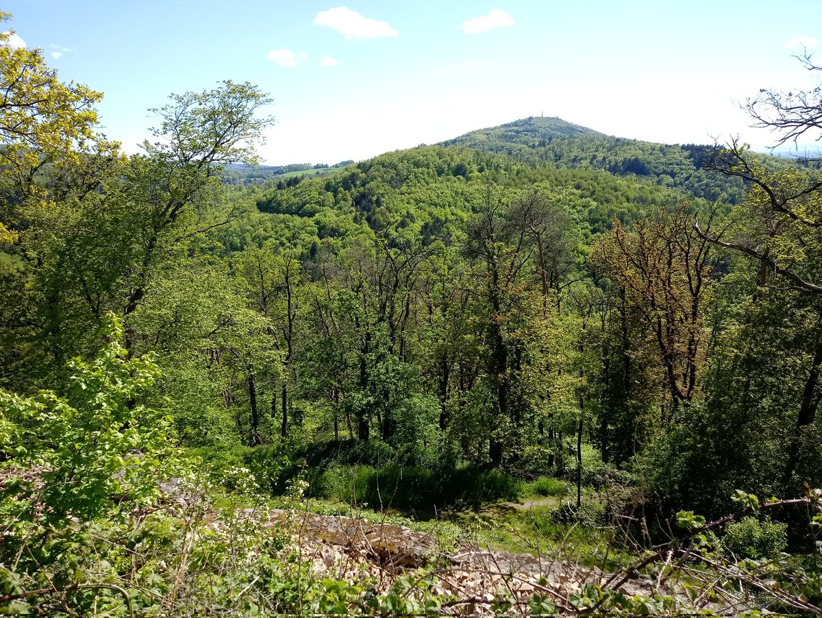 Heute ein Ausflug an die Bergstraße und eine kleine Wanderung zur Burgruine Tannenberg bei Seeheim. #Odenwald