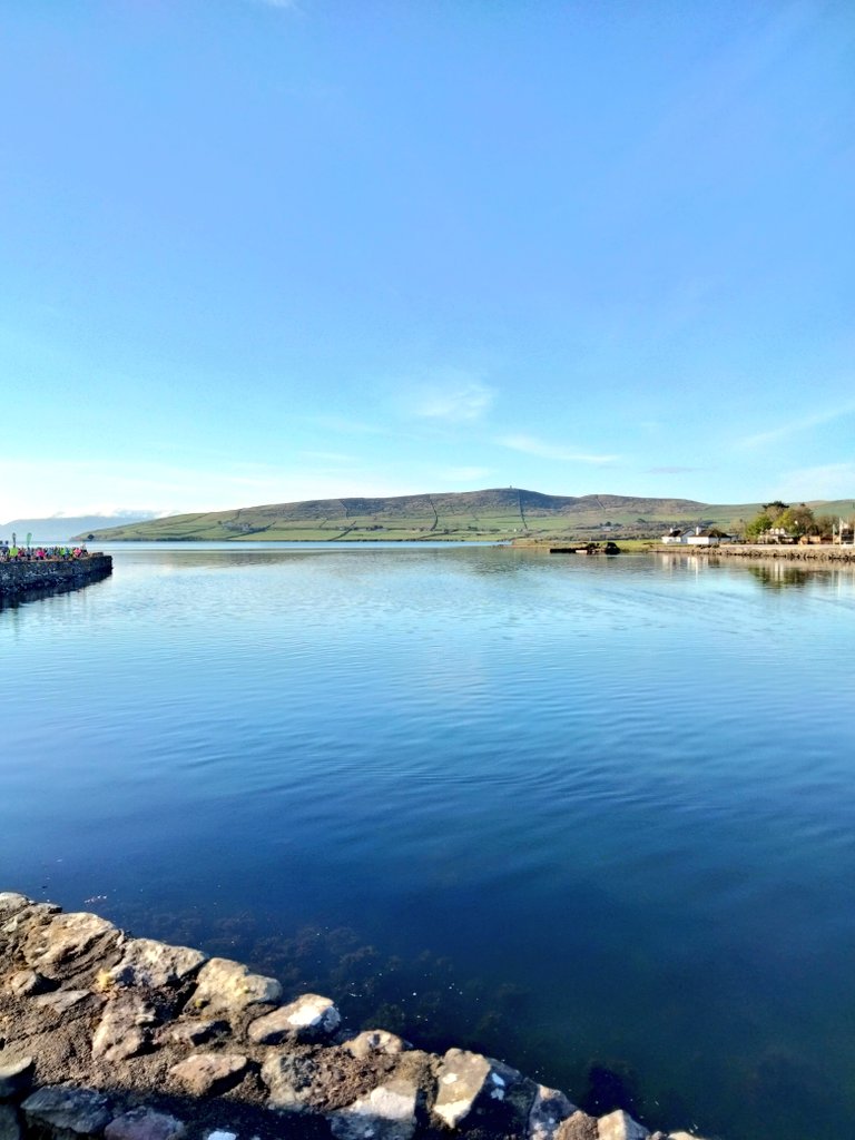 mtRyle 💙 tweet media