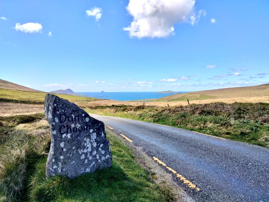 mtRyle 💙 tweet media