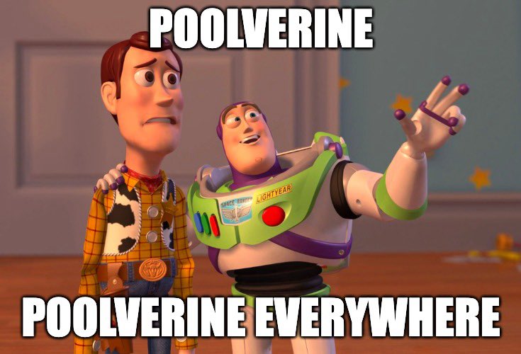 Poolverine (@poolverinesol) on Twitter photo 