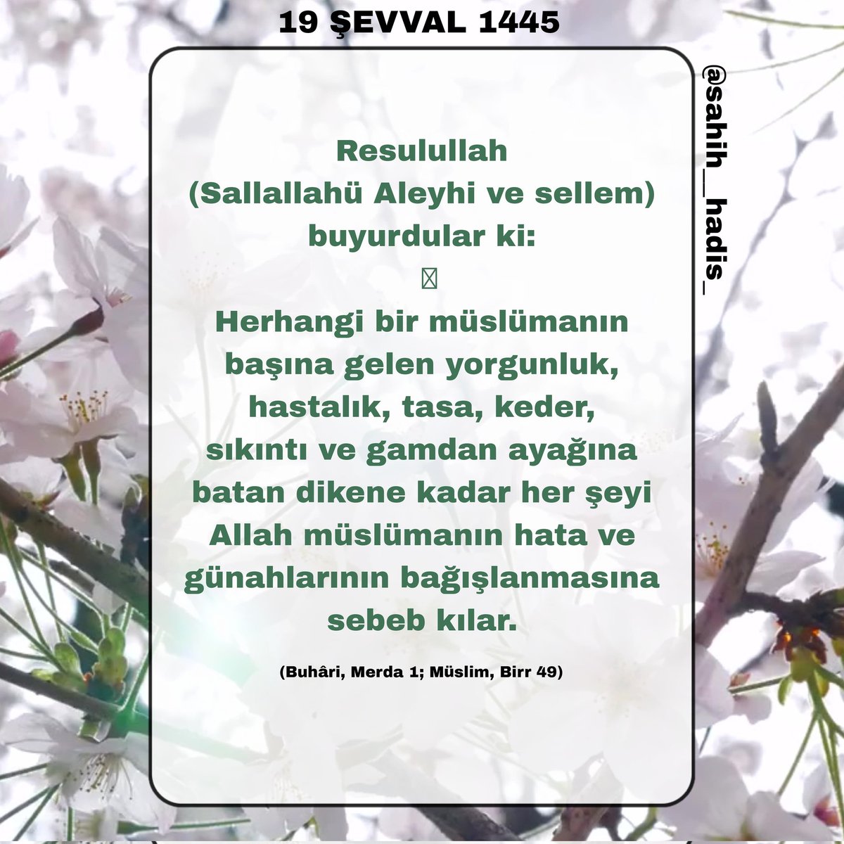 Resulullah (Sallallahü Aleyhi ve sellem) buyurdular ki: Herhangi bir müslümanın başına gelen yorgunluk, hastalık, tasa, keder, sıkıntı ve gamdan ayağına batan dikene kadar her şeyi Allah müslümanın hata ve günahlarının bağışlanmasına sebeb kılar. (Buhâri, Merda 1; Müslim, Birr)