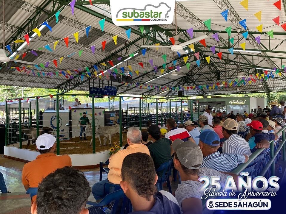 Subastar® tweet media