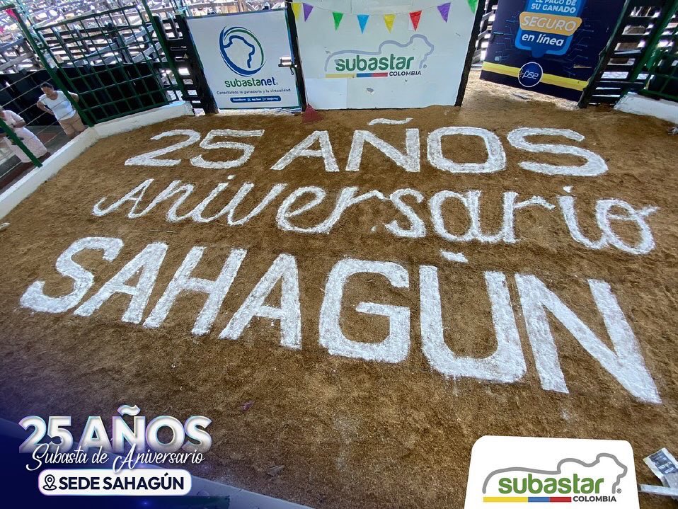 Subastar® tweet media