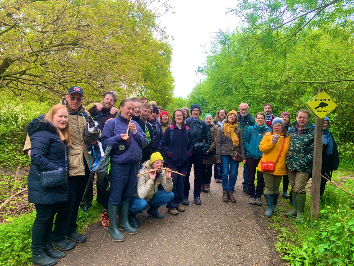 Another weekend and another day of beaver walks showcasing the #EalingBeaverProject and these magnificent mammalian marvels! Demonstrating beavers ability to thrive alongside people and help future proof our city! The enthusiasm for these creatures continues to grow!