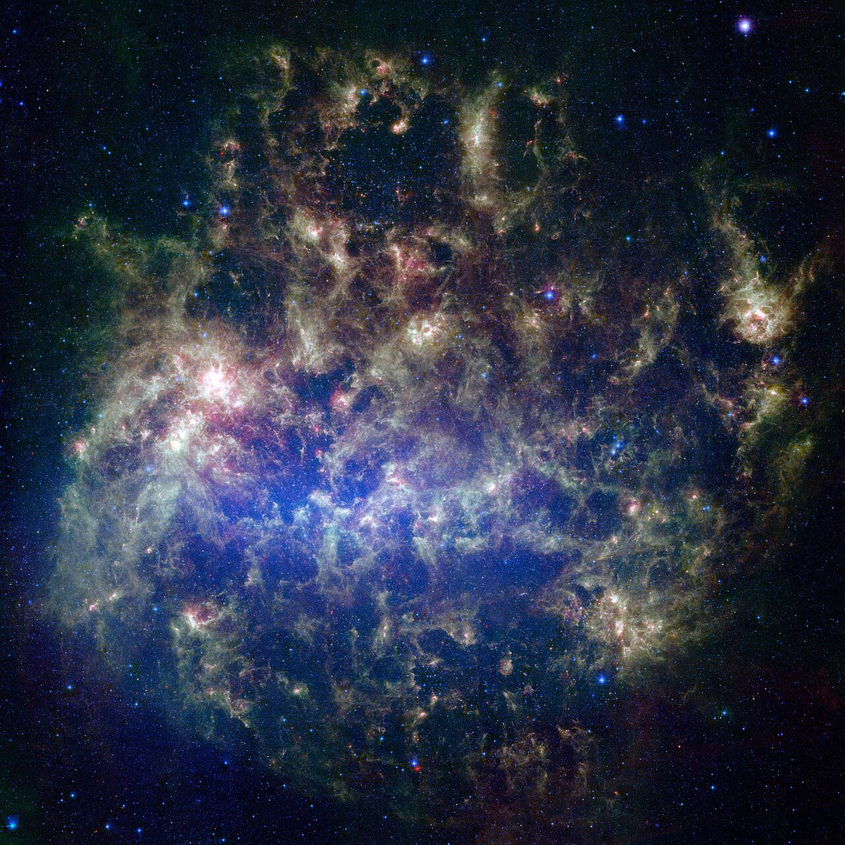Satellite galaxy of Milky Way, Large Magellanic Cloud hosts two most extreme stars. WOH G64 - Possibly the largest known star in the universe with 1540 solar radi and 6 lakh solar luminosity. R136a1 - Most massive star known with 200 solar masses and 4.7 million solar luminosity.
