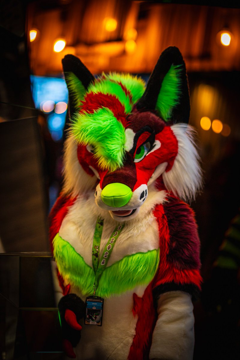 Wanna take me out for dinner tonight?😏 - 📷: @/GeisterhundCH