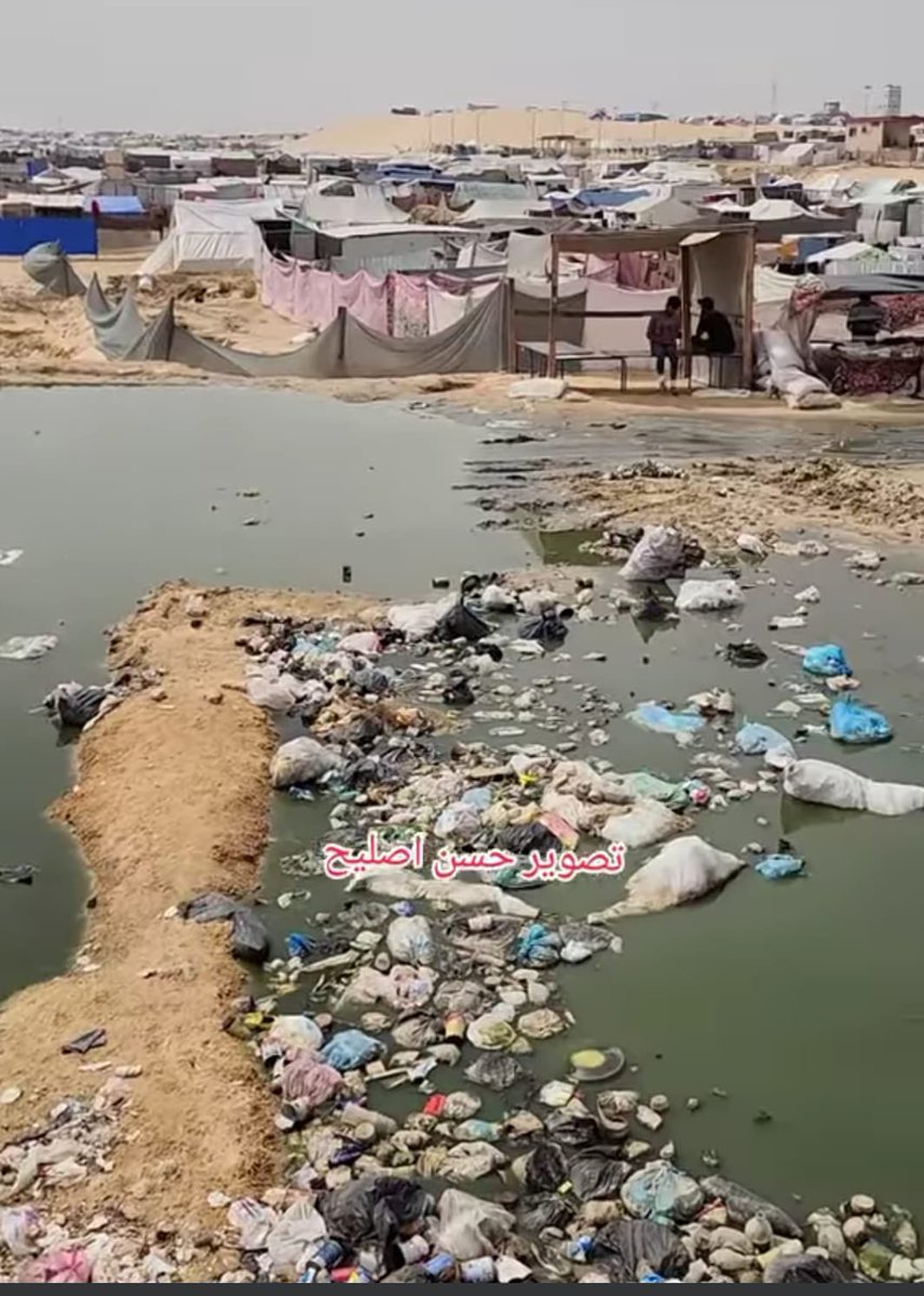 Stagnant sewage accumulating near and around tents of displaced people across #Gaza causes disastrous diseases among them.

Lack of vaccination deteriorates the consequences of this crisis.