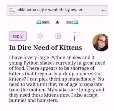 This makes me sick but most aren’t as honest as this person. Let this post burn into your brain before you give away kittens. And sadly, if U have kittens or puppies, NEVER give them away, minimally charge a rehoming fee (even $10-20 may be enuf to stop ppl with these needs