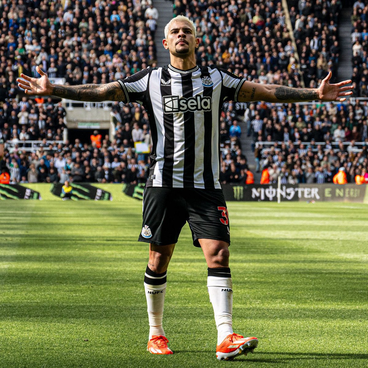 Bruno Guimarães tweet media