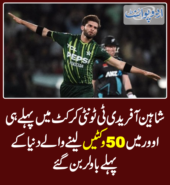 DailyUrduPoint's tweet photo. خبر کی مزید تفصیل جانئیے
https://t.co/PXrA6KJ2xY
#ShaheenShahAfridi #50Wickets #FirstOver #T20Cricket #PAKvsNZ #PakistanvsNewZealand https://t.co/zgy3Lbwxl6