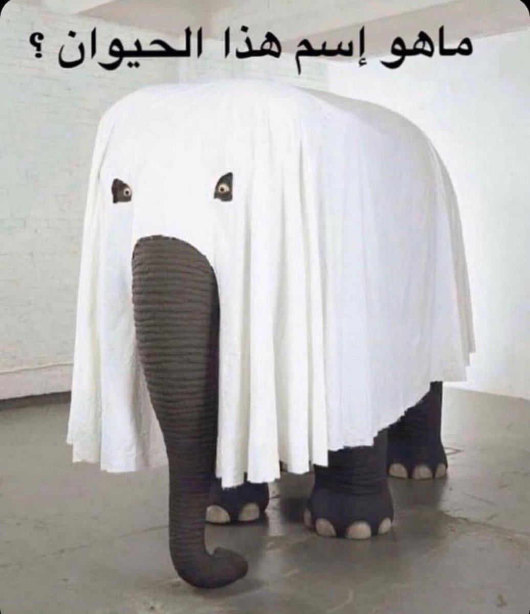 DrHAlHaMaD's tweet photo. https://t.co/98GGt2rxeQ