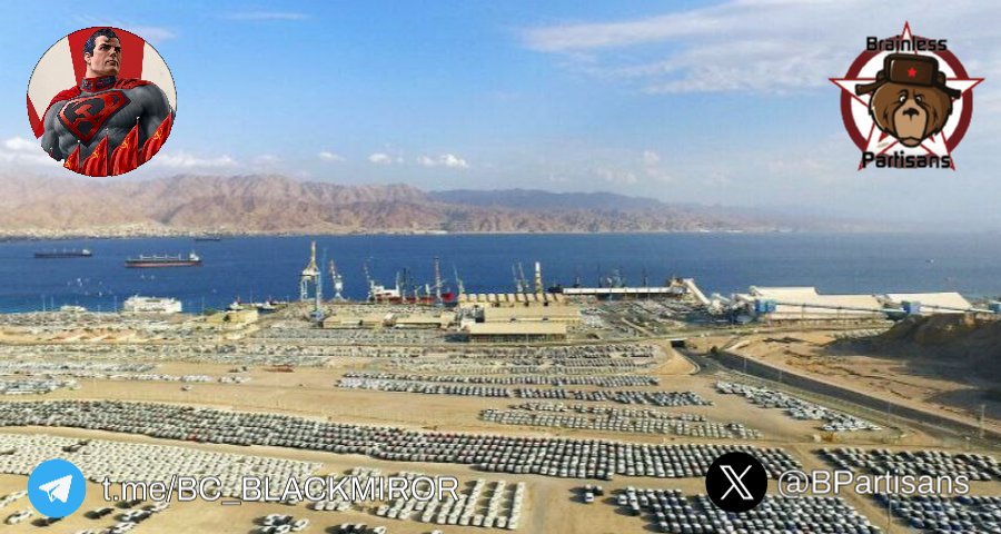 🏴‍☠️ 🇾🇪 🇮🇱 Les Houthis ont réussi à bloquer le port israélien d'Eilat

Directeur du port d'Eilat :
- Le port d'Eilat n'a reçu que deux navires depuis fin novembre 2023
- En raison de l'interdiction des transports maritimes israéliens et des navires liés à Israël, nous perdons entre…