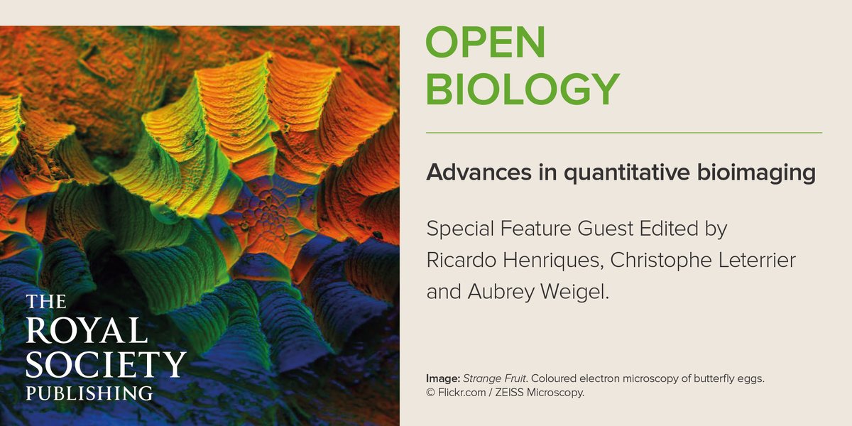 Our #OpenBiology special feature explores recent progress in quantitative bioimaging technologies used to visualise complex molecular architectures, from molecules to cells to tissues ow.ly/KGh950QptJ7