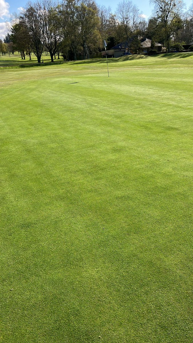 Gro_archie's tweet photo. Greens at crieff gc  looking superb this morning after a recent application of gp micro 10.4.4.Fantastic density , colour and surfaces for this time of year https://t.co/dk2dLcuKxU