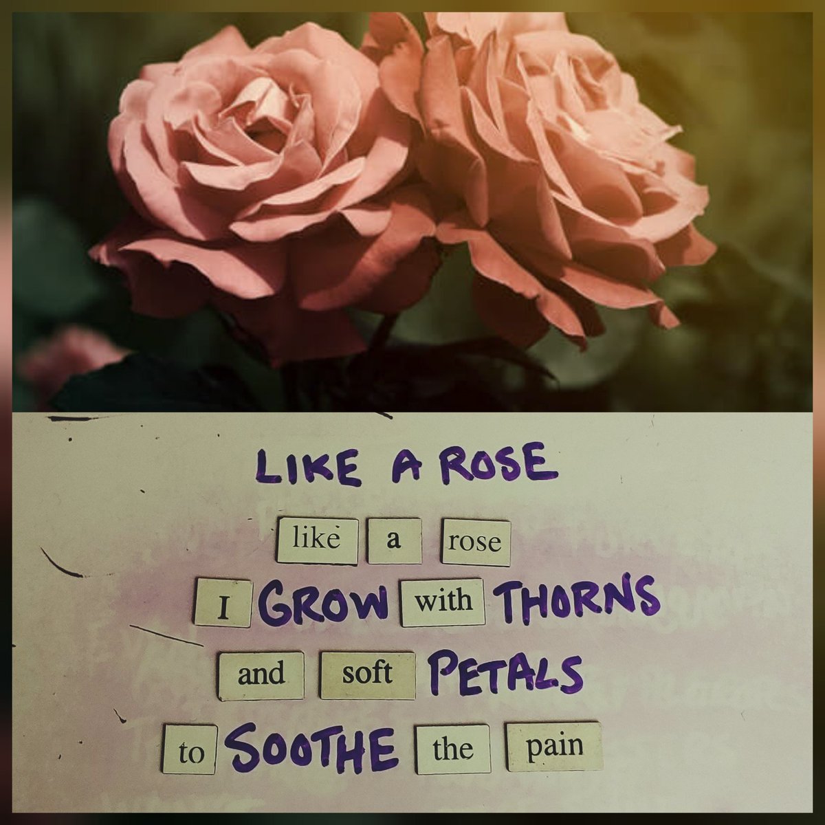 JazzRJ's tweet photo. A fun little thought. #poem #poetry #magneticpoemoftheday #magneticpoetry #magneticpoem #poetrymagnets #writing #mine #likearose https://t.co/4STpgtYPuA