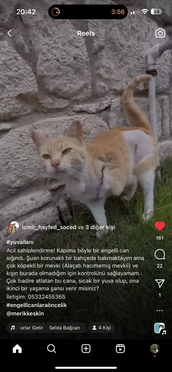 ya şaka mı ya 😭