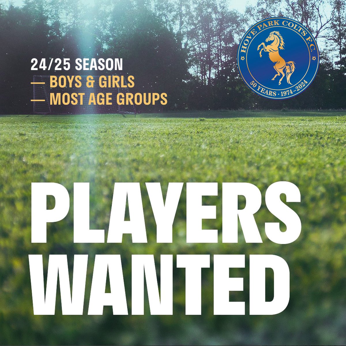 HPColts's tweet image. 13 of our teams are currently looking for players for the new season! If your child would like to join us, check our current 'Players Wanted' list on our website at:
bit.ly/HPCWANTED