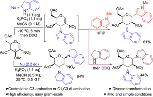 Stereoselective and Controllable C3-Amination or C1,C3-Di-Amination of 2-Nitroglycals dlvr.it/T65ncC