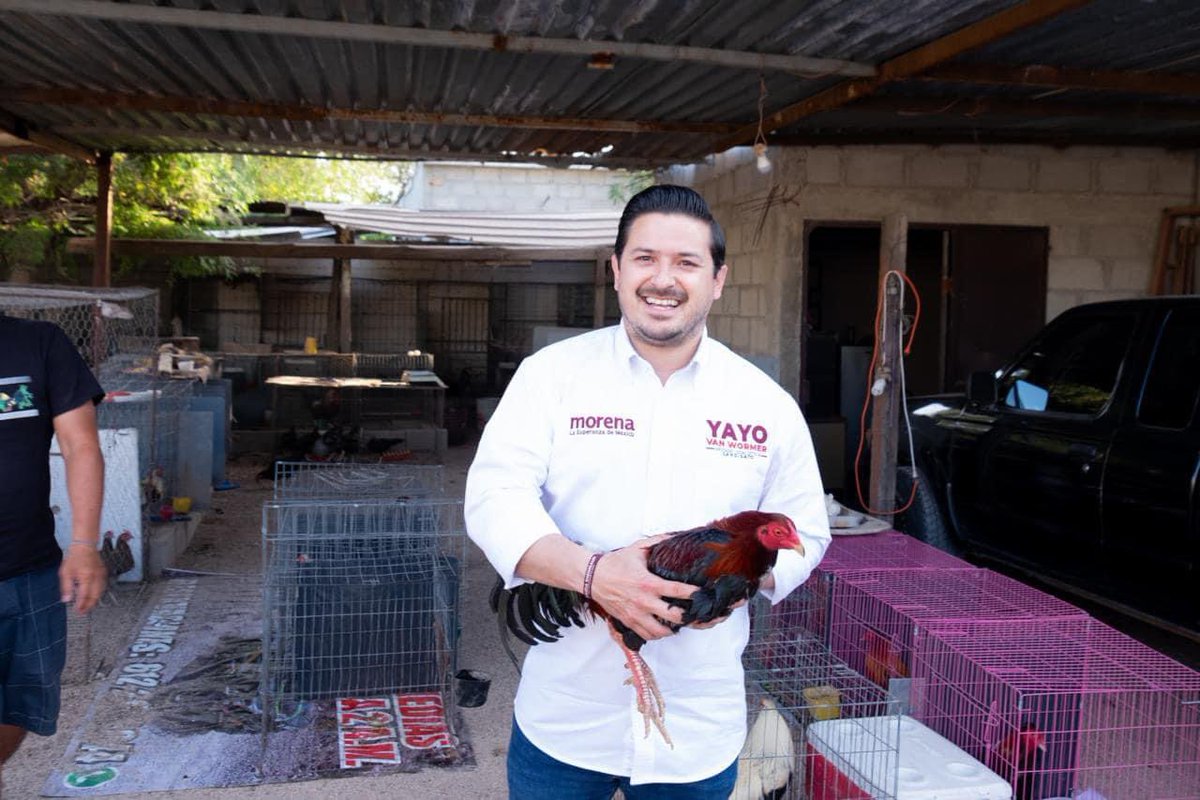 YayoVanWormer's tweet photo. En Vista Hermosa, hemos caminado juntos por el rumbo de la transformación. Seguiremos avanzando por más bienestar para todas las familias del #SextoDistrito. ¡Ánimo palomilla! ¡Buen fin de semana! https://t.co/iRIwQXmToy