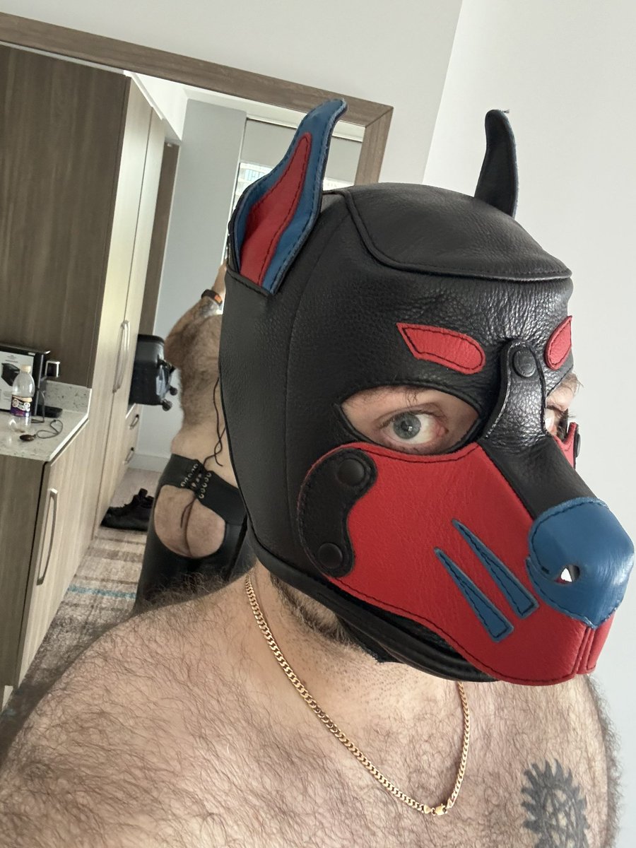 Taters Pup 🔜 FurDu2025 tweet media