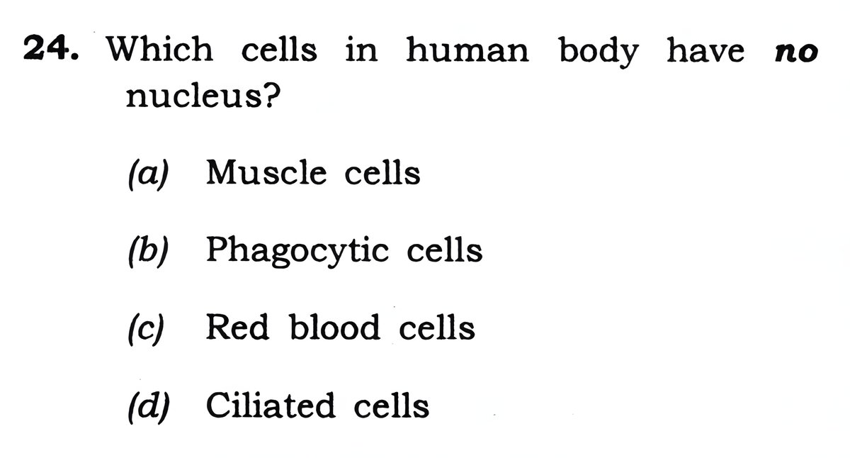 Exam - Combined Defence Service (I) - 2024

Which cells in human body have no nucleus? 

#PYQ #CDS #UPSC #UPSCPrelims2024