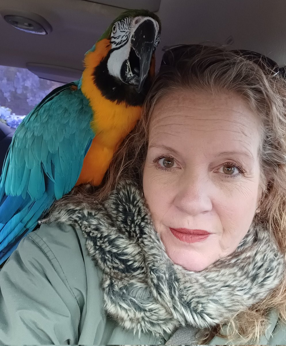 @TAMU @tamuvetmed Does @tamuvetmed have an Avian Vet now? 
During 2023 My 22yr B&G Macaw required surgery... I was informed, 'There is no Avian Vet at TAMU.' 
The only local Vet that could a assist My B&G was All Pets Vet of College Station. ❤️🦜