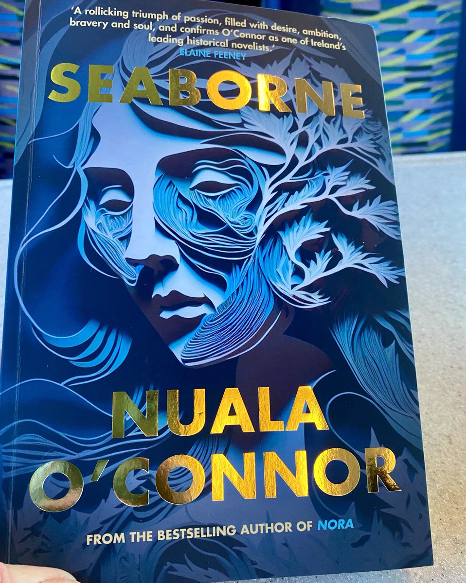 I loved Nora so much, the characters still live in my head thanks to ⁦@NualaNiC⁩ genius storytelling so I had to buy her new book too, just a few pages in and I am hooked already #seabourne