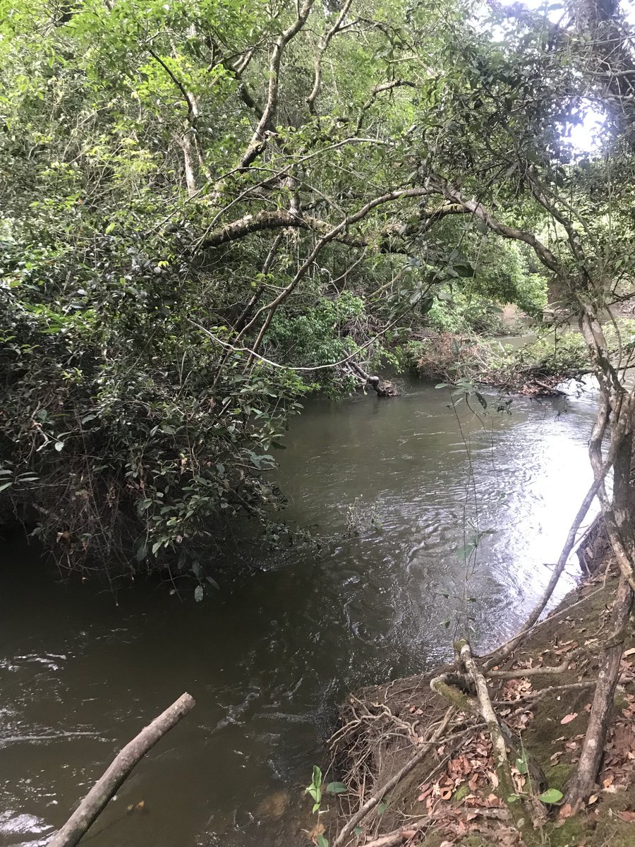 classoalcala's tweet photo. Gracias a todo el Equipo de La Fazenda (Agropecuaria Aliar SA) en Villavo y Puerto Gaitan, por su hospitalidad, iniciativas, profesionalismo e interés, en el estudio y conservación de la altillanura. ⁦@inst_humboldt⁩ ⁦@GIAndradeP⁩ https://t.co/elDf29oBB4