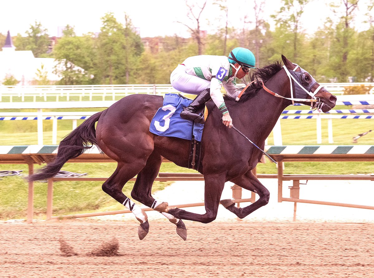 Haileysfirstnotion, 3YO @MarylandTB gelding by Great Notion, wins 6F MSW @LaurelPark in career debut for trainer Gary Capuano. Apprentice J.G. Torrealba aboard for breeders/owners Dan Crowley & Non Stop Stable. (Jim McCue 📷)