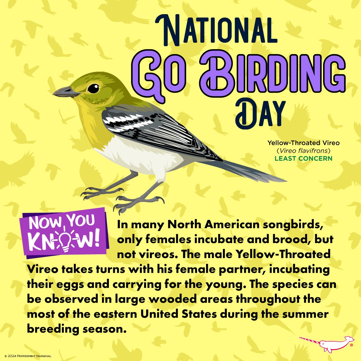 #NationalGoBirdingDay #NowYouKnow #YellowThroatedVireo Earth Day SALE - Save 20% Off Everything in the #PeppermintNarwhal Store. Shop Now: peppermintnarwhal.com Sale Ends April 30, 2024. International Shoppers visit our Etsy store: etsy.com/shop/Peppermin… #Vireo #Birding