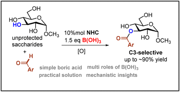 NHC/B(OH)3-mediated C3-selective acylation of unprotected monosaccharides: mechanistic insights and toward simpler/greener solutions (@green_rsc): pubs.rsc.org/en/content/art….