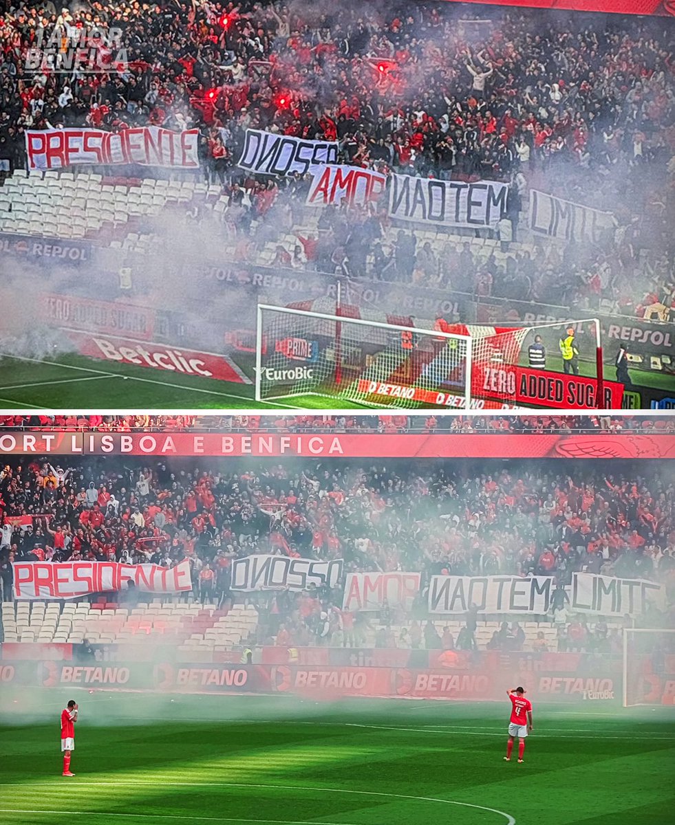 1amorbenfica's tweet photo. “PRESIDENTE O NOSSO AMOR NÃO TEM LIMITE !” 🦅 https://t.co/MyrGkWFVQ4