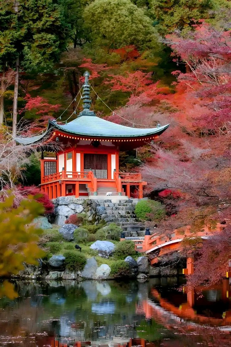 Magical view of Daigo-ji Temple, Japan🧡🇯🇵🏯