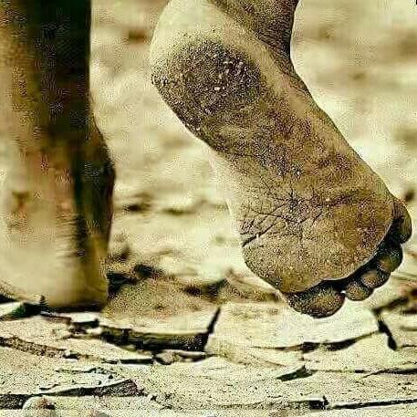 جب ہم غلط فیصلے لیتے ہیں
بنا سوچے بنا سمجھے انکو لاگو کر دیتے ہیں
پھر نا قابل تلافی نقصان اٹھاتے ہیں
قسمت کو کوستے ہیں
رب کو ذمہ دار ٹھہراتے ہیں
اور آخر میں خوار ہو کے برباد کر کے یہ کہتے ہیں کہ رب کی رضا تھی ایسا ہونا
.
.
کیا یہ رب کی رضا پہلے نہیں رکھی جا  سکتی
.
.
#MianSahb