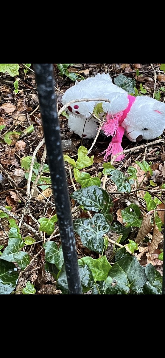 frits wester tweet media