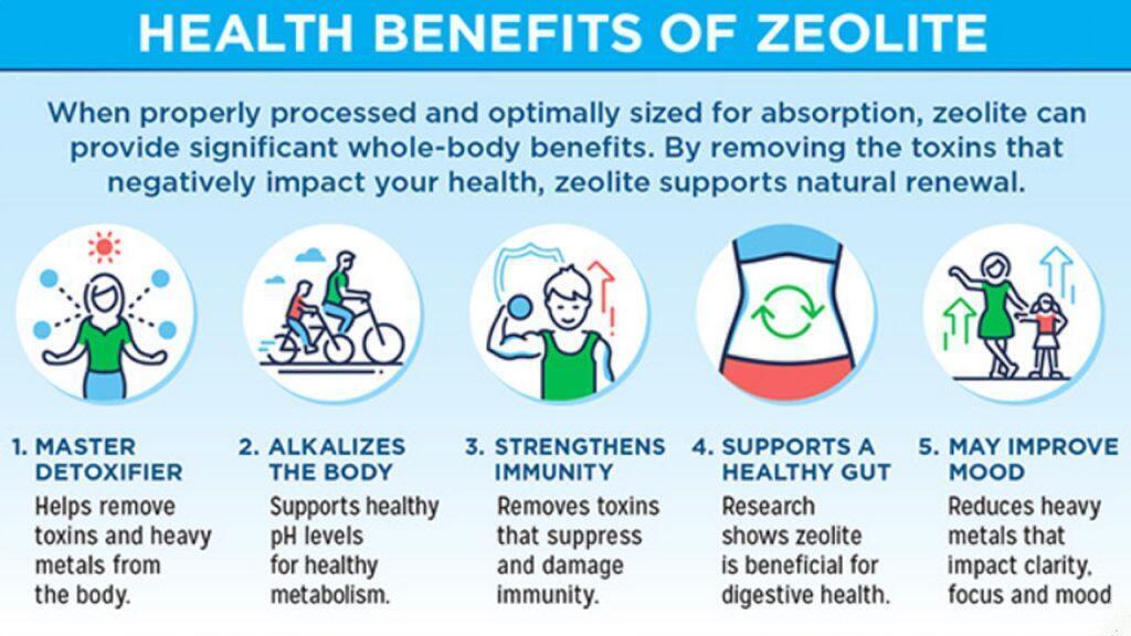 naturalzeolitepowder.com Zeolite is a potent antiviral, tumor and heavy metal detox crystal mineral (think Natural Vaccine Detox and Ivermectin Alternative) that is very helpful in foodborne illness (food poisoning from improperly cooked or stored food.) It helps your body detox…