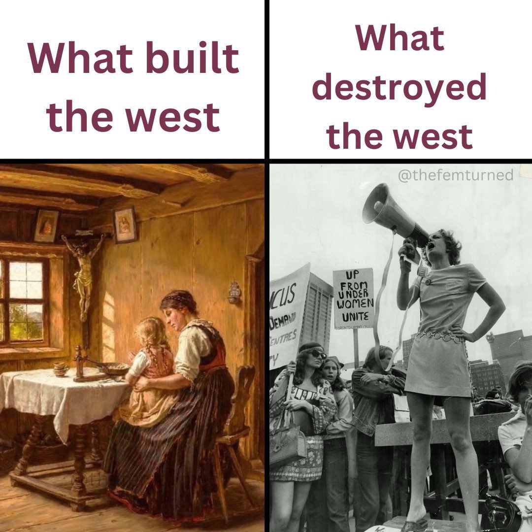 Did feminism destroy the west?